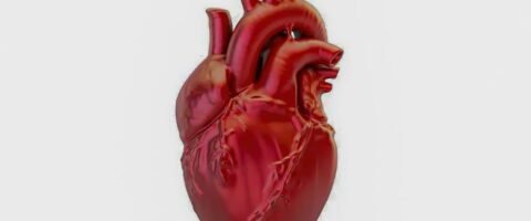 A cada 72 segundos, uma pessoa morre por doença cardiovascular no país