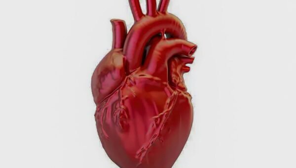 A cada 72 segundos, uma pessoa morre por doença cardiovascular no país