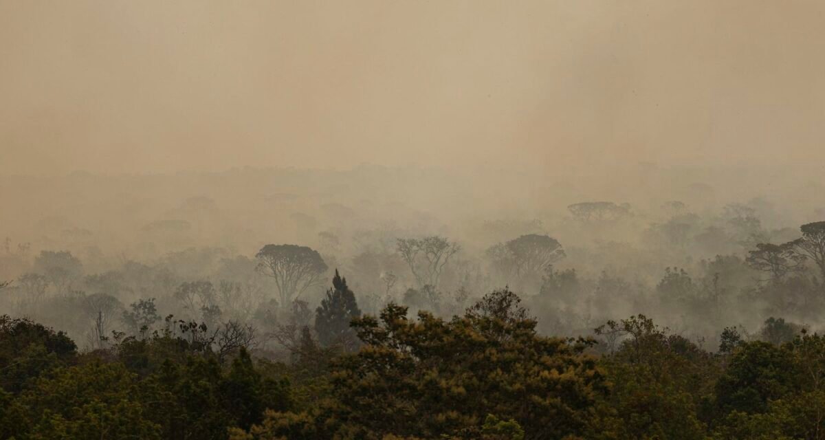 Força Nacional do SUS apoia atendimentos no Amazonas após incêndios