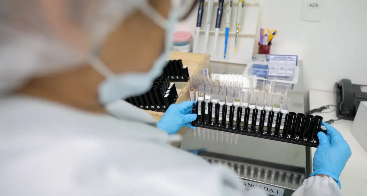 Malária: Anvisa autoriza teste em humanos de vacina 100% brasileira