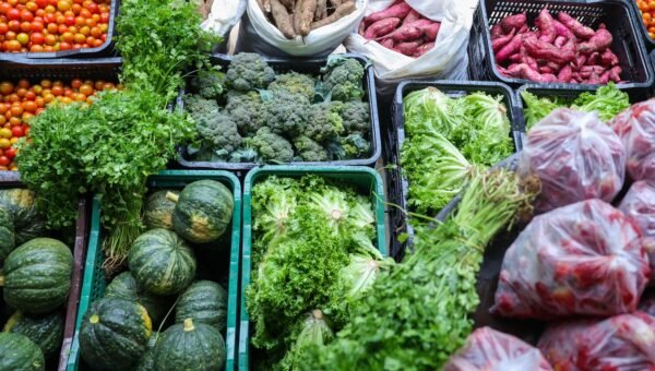 Segurança alimentar exige esforço coletivo e articulação