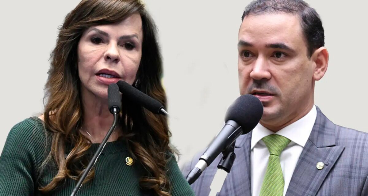 TO: eleitores escolherão entre Professora Dorinha e Vicentinho Júnior